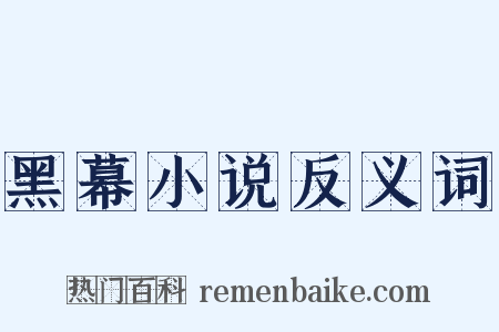 黑幕小说反义词是什么意思的图片